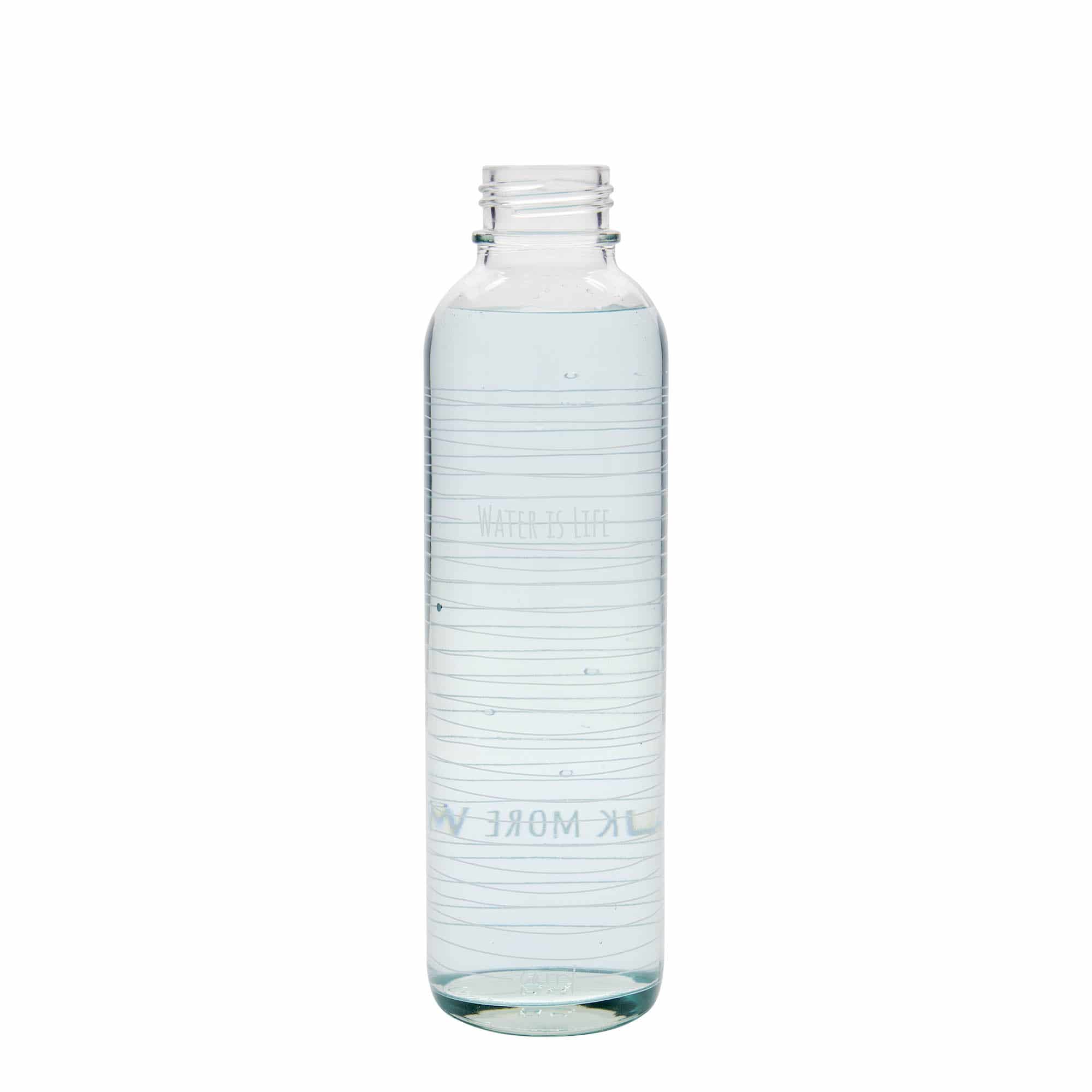 700 ml Trinkflasche CARRY Bottle 'Water is Life', Mündung: Schraubverschluss